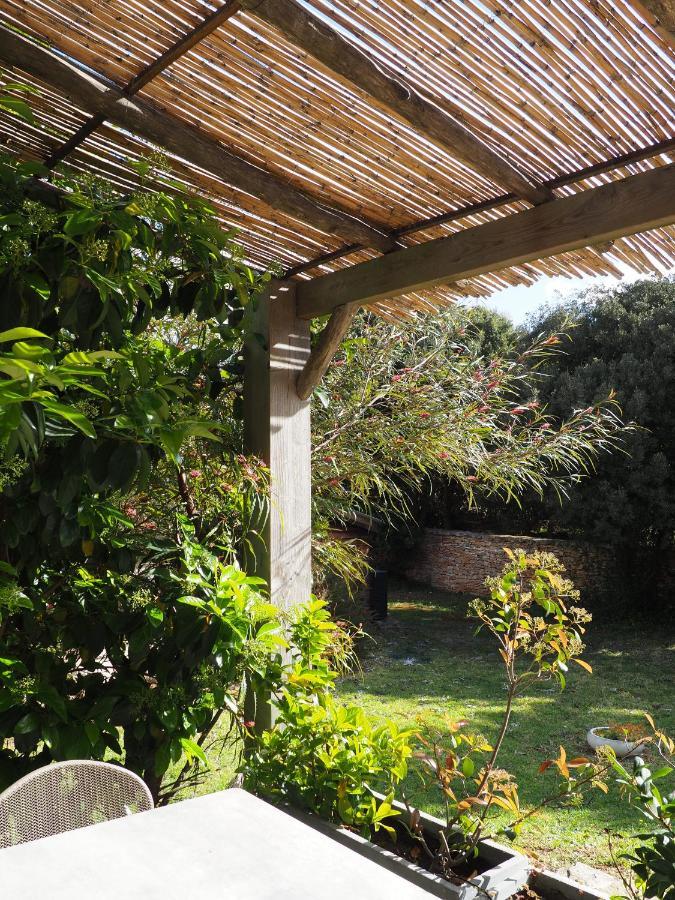 Songes D'ete